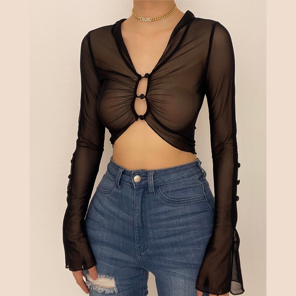 Sheer mesh see through button hollow out long sleeve crop cut out top